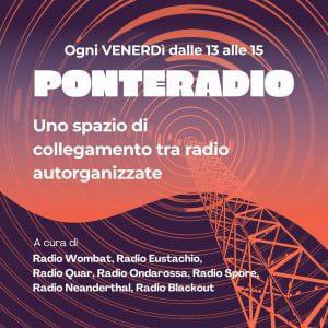 Cover image for Ponteradio